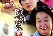 娘家 电视剧,情感纠葛与家族恩怨的交织