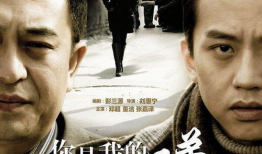 电视剧你是我兄弟全集在线观看,兄弟情深，命运交织的感人故事